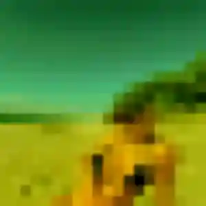 Photo perso de Natacha, 25 ans à Acigné - plan discret