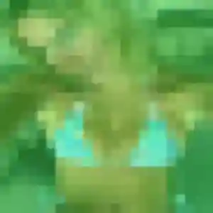 Photo de Melodie à Acoua (40 ans) - plan cul discret