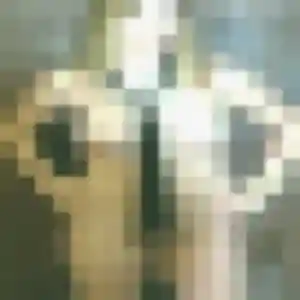 plan cul à Aigues-Mortes : profil de Violette, 24 ans - inscription gratuite