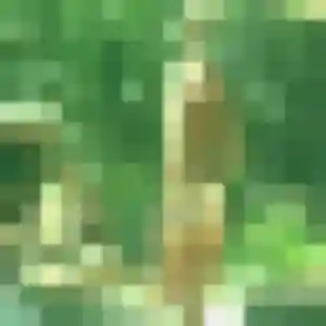 Celia (31 ans) à Aix-les-Bains propose un plan cul ce soir