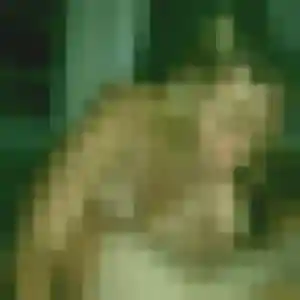 Bettina, 21 ans, veut un plan cul à Aizenay