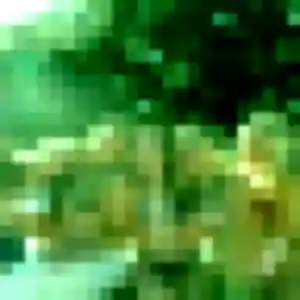 Découvre Amira, 29 ans à Ajaccio en t'inscrivant