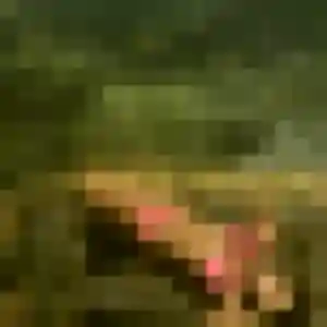 Nadine, 20 ans, veut un plan cul à Albert