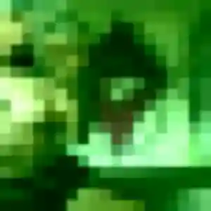 Nolwenn, 35 ans, connectée à Albert pour une rencontre coquine