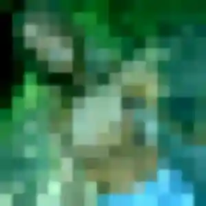 Photo exclusive de Mylene, 44 ans à Allauch - rencontre sans lendemain