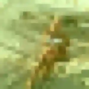 Albertine, femme de 31 ans cherche plan cul à Ambazac