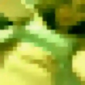 Photo sexy de Lina, 43 ans à Amboise - rencontre sans lendemain