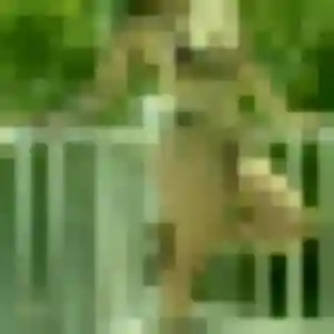 Brune, 24 ans, veut un plan cul à Andrésy