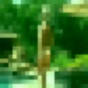 Sexy Ambre, 36 ans à Annemasse - la contacter