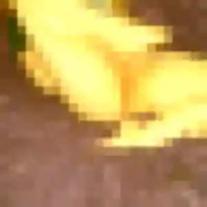 Photo sexy de Lina, 36 ans à Anse - plan discret