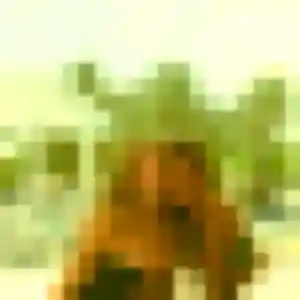 Marie-Jose (36 ans) à Arcachon propose un plan cul aujourd'hui