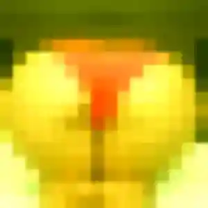 Photo sexy de Alessandra, 22 ans à Arès - rencontre sans lendemain