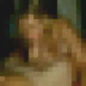 Photo privée de Yvette, 40 ans à Arnage - rencontre coquine