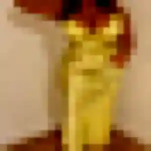 Photo perso de Anna, 43 ans à Auch - rencontre sans lendemain