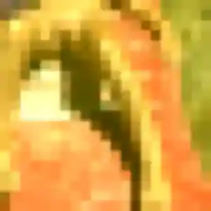 Photo privée de Cyrielle, 38 ans à Auch - rencontre sans lendemain