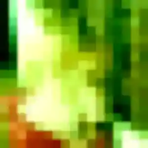 Photo privée de Gwendoline, 45 ans à Audruicq - plan discret