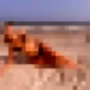 Meriem, 39 ans, cherche un plan cul à Audun-le-Tiche