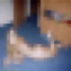 Sexy Angelique, 19 ans à Auneau-Bleury-Saint-Symphorien - la contacter