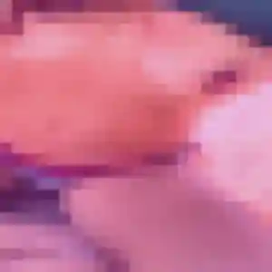 Profil de Anne-Laure à Aureilhan (27 ans) - plan cul gratuit