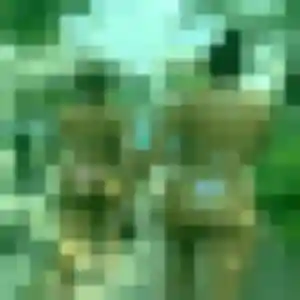 Patricia, 24 ans, en ligne à Auriol pour une rencontre coquine