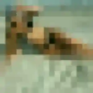 Kim, 35 ans, connectée à Aussillon pour une rencontre coquine