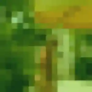 Zina, 40 ans, connectée à Auxerre pour une rencontre coquine