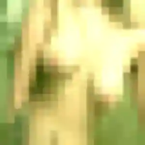 Charmante Colombine, 20 ans à Bagneux - la contacter