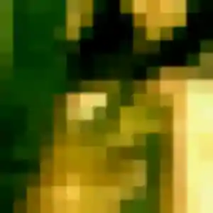 Belle Anne-Laure, 28 ans à Bailleul - découvrir son profil