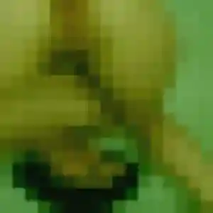 Rencontre Laetitia, 24 ans à Bailleul gratuitement