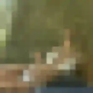 Photo de Ivana à Ballan-Miré (25 ans) - plan cul anonyme