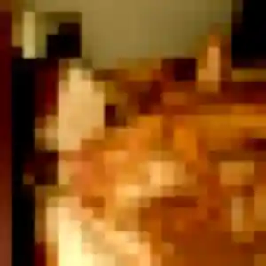 Jolie Ursule, 32 ans à Baud - découvrir son profil