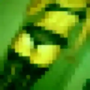 Oumaima, fille de 30 ans propose plan cul à Baugé-en-Anjou