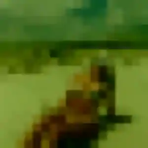 Rencontre Ingrid, 19 ans à Beaucourt en t'inscrivant