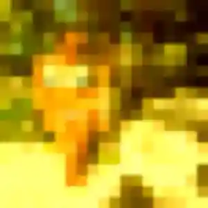 Fabienne de Beaucouzé, 36 ans - plan cul discret