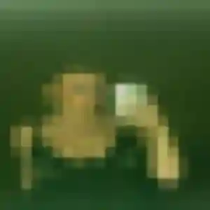 Ghislaine (19 ans) à Beaupréau-en-Mauges propose un plan cul aujourd'hui