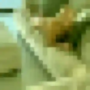 Photo perso de Orane, 35 ans à Beaupréau-en-Mauges - plan discret