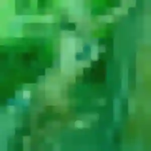 Découvre Ximena, 19 ans à Beaupréau-en-Mauges en privé