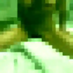 Découvre Ines, 36 ans à Beauzelle gratuitement