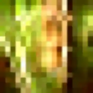 Photo perso de Paloma, 26 ans à Beauzelle - plan discret