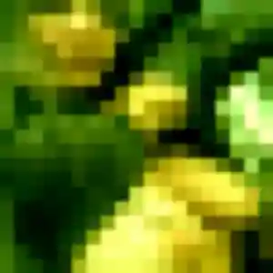 Agathe, 44 ans, veut un plan cul à Bédarrides