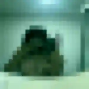 Découvre Lina, 32 ans à Bédarrides en t'inscrivant