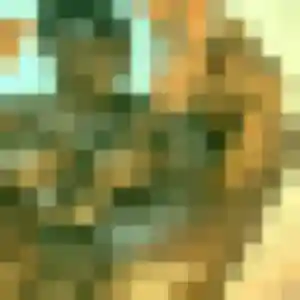 Contacte Celia, 41 ans à Belley en t'inscrivant