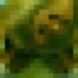 Photo privée de Elvire, 27 ans à Bollène - plan discret