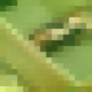 Typhaine, 20 ans, en ligne à Bompas pour une rencontre coquine