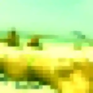 plan cul à Bonchamp-lès-Laval : photo de Celia, 34 ans - inscription gratuite