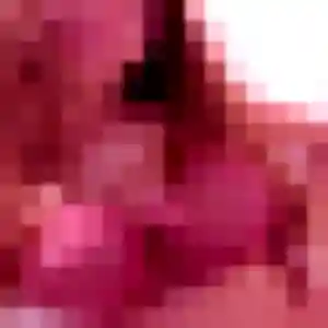 Dana, 44 ans, connectée à Bonchamp-lès-Laval pour une rencontre coquine