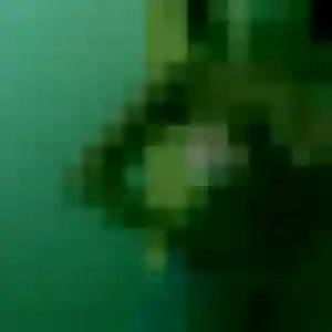 Belle Urielle, 22 ans à Bonchamp-lès-Laval - la contacter