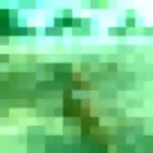 Anna, femme de 41 ans cherche plan cul à Bondues