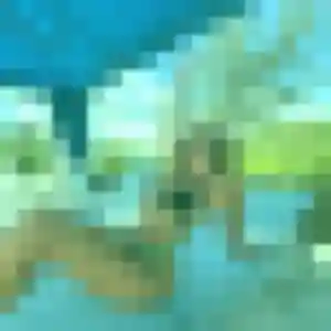 Profil de Solene à Bourbourg (35 ans) - plan cul sans inscription