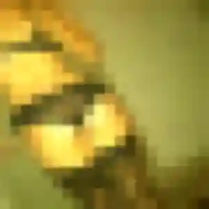 Candice (22 ans) à Bras-Panon attend un plan cul aujourd'hui